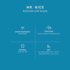 Mr. Nice