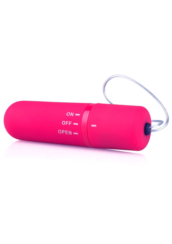 My Secret Screaming O Remote Control Panty Vibe